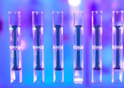 Carpe Diem! Life Sciences Leader Commits to a CX Transformation